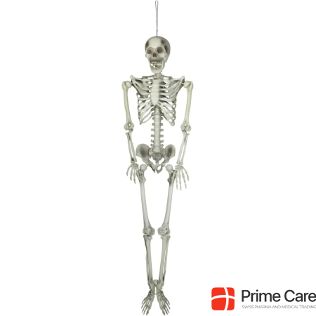 Europalms Halloween skeleton, 150 cm