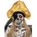 Europalms Halloween Pirat, 170cm