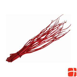 Opiflor Branches Mitsumata 0.7 x 70 cm, Red