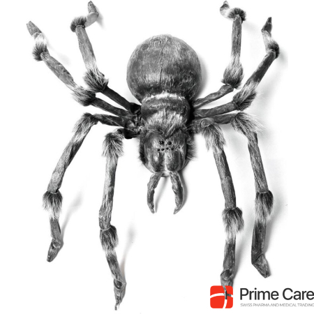 Europalms Monster Spider ca.130cm