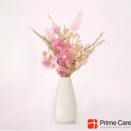 Chic.Mic Dried flowers Wild Flowers including vase