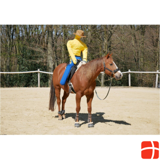 Dönges Horse riding dummy Pferdinand