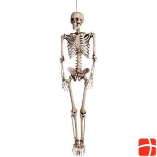 Dekomat Aufsteller Skelett 160 cm lang