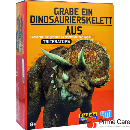 4M Dinosaur excavation - Triceratops
