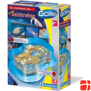 Clementoni Galileo: This is how you grow sea monkeys