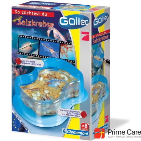 Clementoni Galileo: So züchtest du Salzkrebse