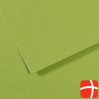 Canson Drawing paper Mi-Teintes, green