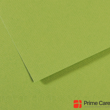 Canson Drawing paper Mi-Teintes, green