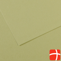 Canson Drawing paper Mi-Teintes, light green