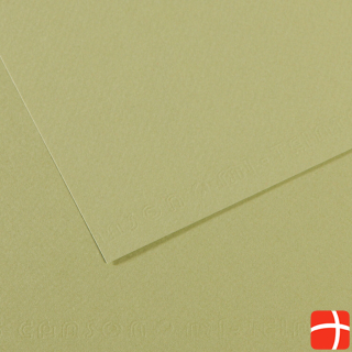 Canson Drawing paper Mi-Teintes, light green