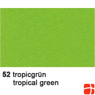 Плакат Урсуса. 68x96 тропический зеленый
