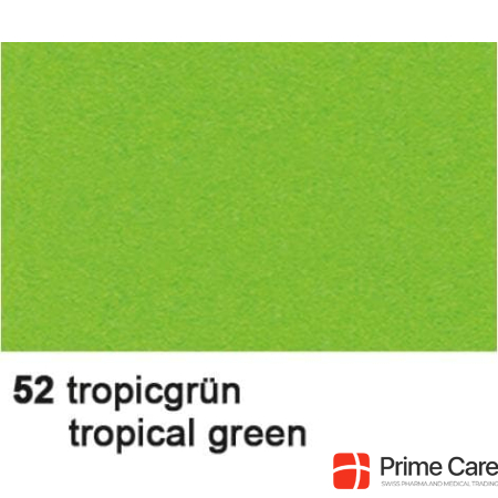 Ursus Poster c. 68x96 tropic green