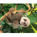 Folkmanis Baby sloth