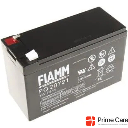 Fiamm Lead Acid Battery