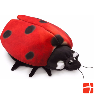 Folkmanis Ladybug metamorphosis