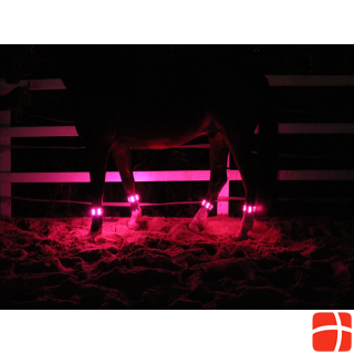 Animal Light LED illuminated gaiters Threeple Set of 4