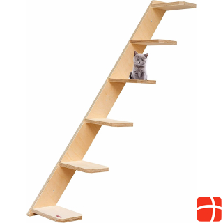 Elmato Cat ступает по лестнице