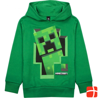 Minecraft Inside hoodie boys