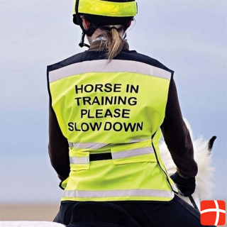 Equisafety Horse In Training Please Slow Down Air Vest