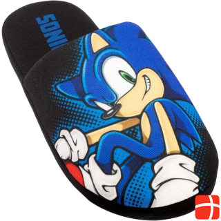 Sonic The Hedgehog slippers