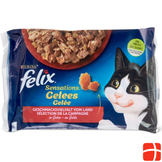 Felix Sensation jelly beef & chicken
