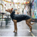 Cloud 7 Dog raincoat Dublin