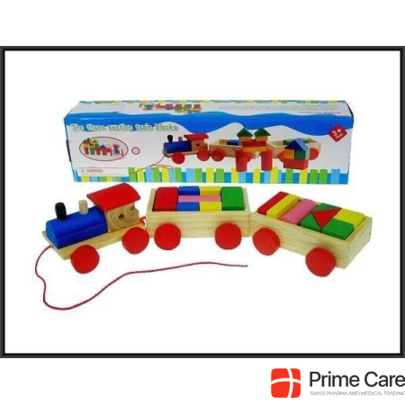 Hippo Wooden train with blocks in box HC-856