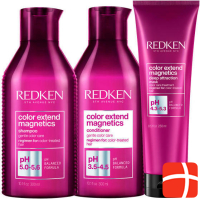 Redken Color Extension Magnetics Care Trio