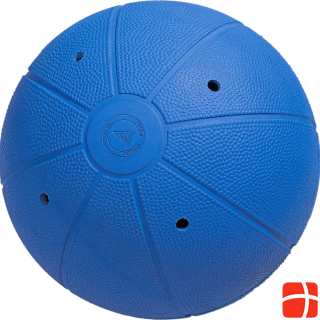 WV Ball Goalball