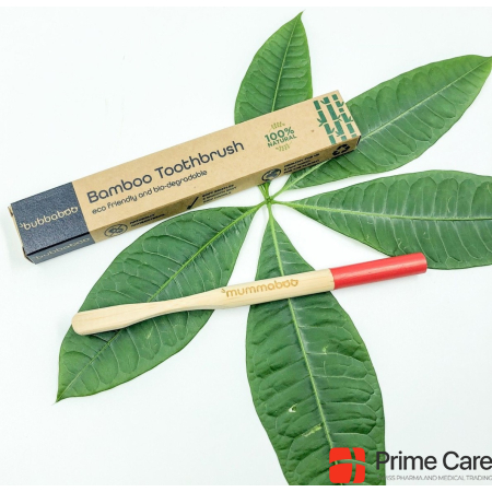 Bubbaboo Bamboo toothbrushes for adults