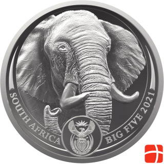 South Africa Mint Platinum Elephant 1 oz PP - Big Five Series II - 2021