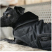 Kentucky Dogwear Dog coat 160g