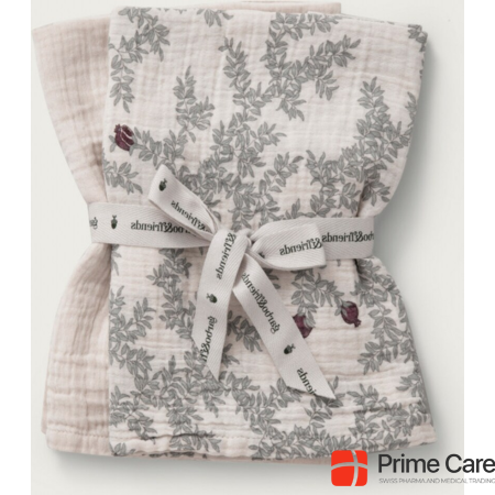 Garbo & Friends 2 Pack Muslin Blanket Small Pomegranate