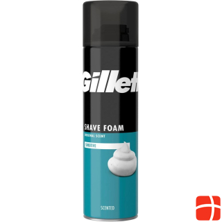 Gillette Sensitive Base Shaving Foam