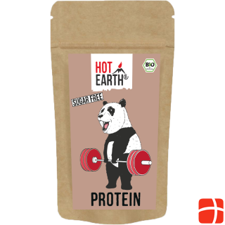 Hot Earth Vegan Protein, Raw Cacao | organic