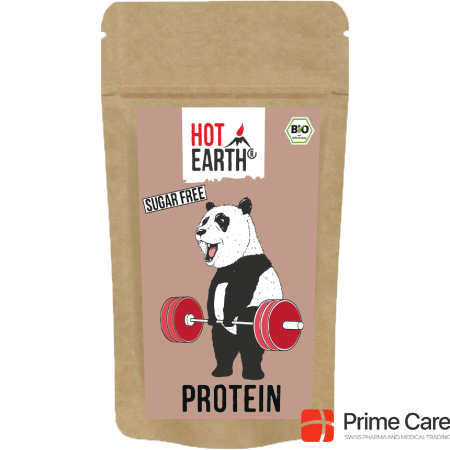 Hot Earth Vegan Protein, Raw Cacao | organic
