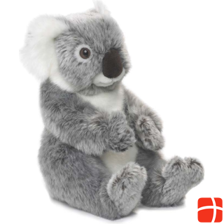 WWF Koala