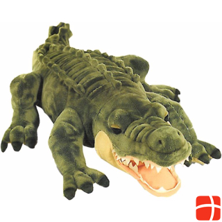 Keel Alligator, Crocodile