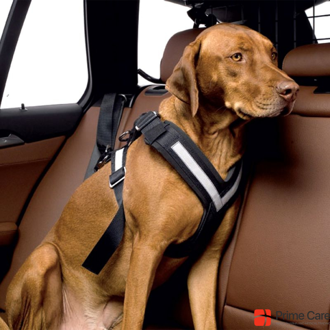 Kleinmetall Allsafe dogs safety belt, size M, Dog, assignment, dog sport, Jogging, Walks