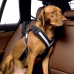 Ремень безопасности Kleinmetall Allsafe для собак, размер M, Собака, задание, собачий спорт, Бег, Прогулки