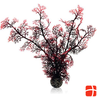 Oase biOrb Horn corals medium dark red