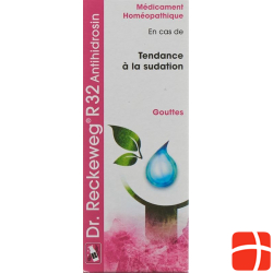 Reckeweg R32 Antihidrosin Tropfen Flasche 50ml