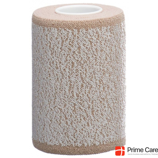 Panellast plaster bandage 8cmx2.5m skin color buy online