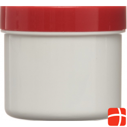 Siliplast Paste No 200 Minimal Hellbl 55g