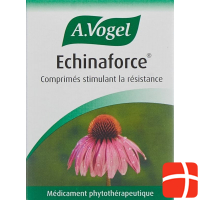 Vogel Echinaforce 120 Tabletten