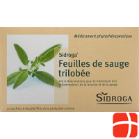 Sidroga Salbeiblättertee 20 Beutel