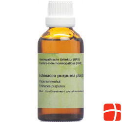 Spagyros Echinacea Purpurea Urtinkt 50ml