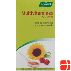 Multivitamin Kapseln 120 Stück