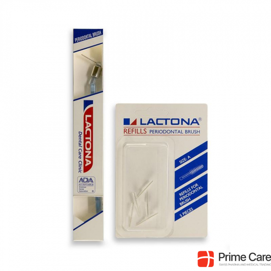 Lactona periodontal brush refillable buy online