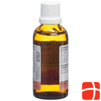 Septonsil Tropfen 50ml